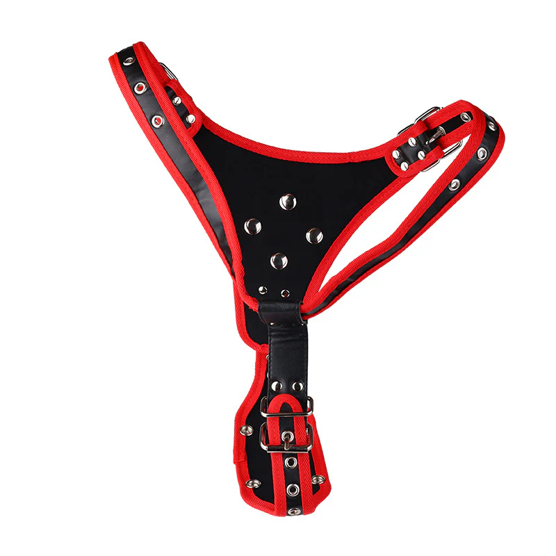 女同四爱穿戴裤套装配可替换通用阴茎 - Image 4